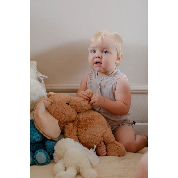 Label Label Elephant Elly Ivory