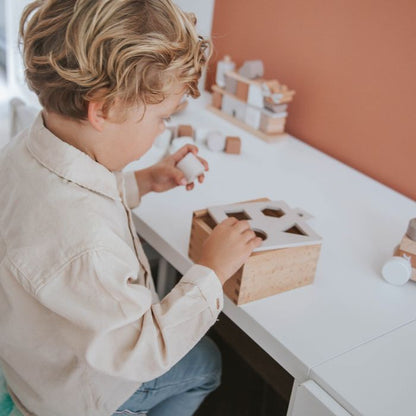 Label Label Shape sorter